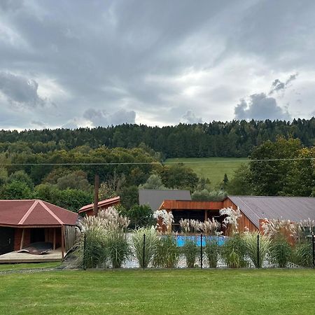 U Zrodel Strwiaza Villa Ustrzyki Dolne Exteriör bild