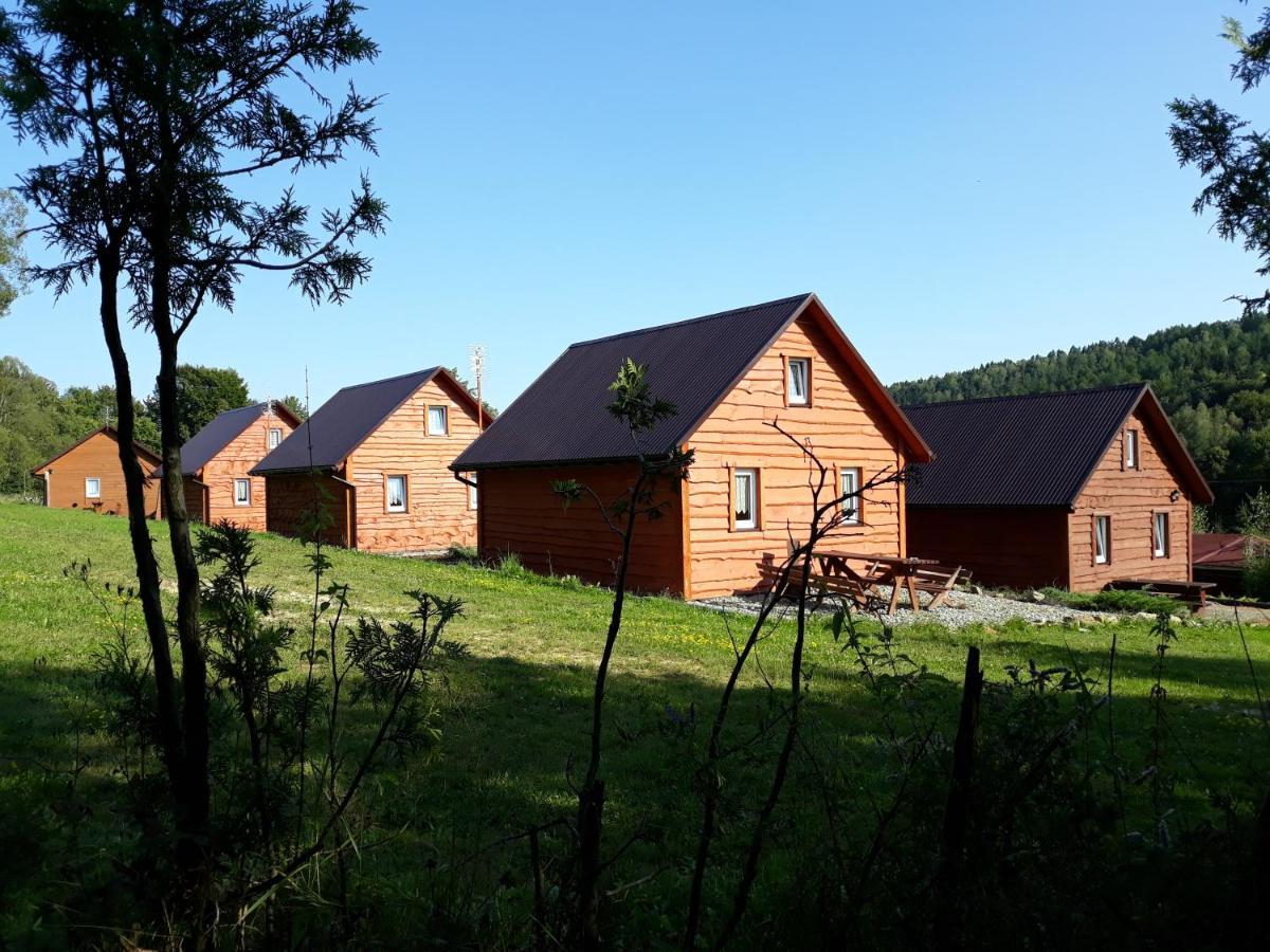 U Zrodel Strwiaza Villa Ustrzyki Dolne Exteriör bild