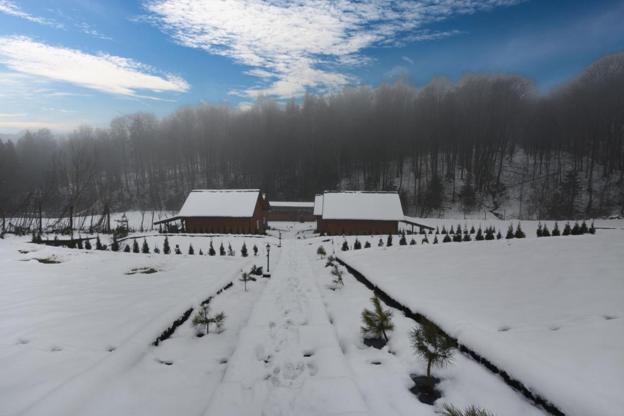 U Zrodel Strwiaza Villa Ustrzyki Dolne Exteriör bild