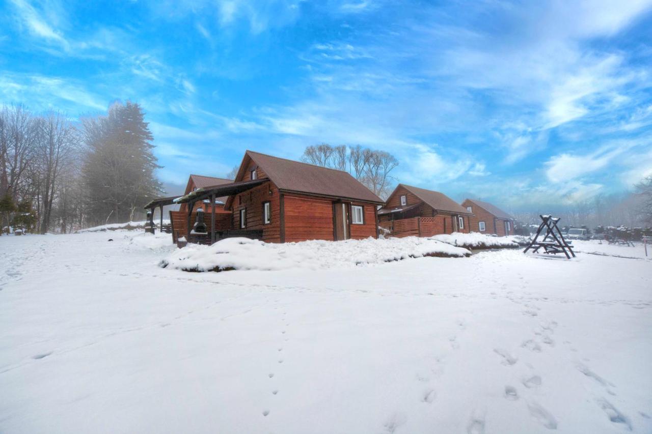 U Zrodel Strwiaza Villa Ustrzyki Dolne Exteriör bild